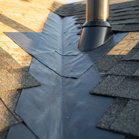 Water Shield